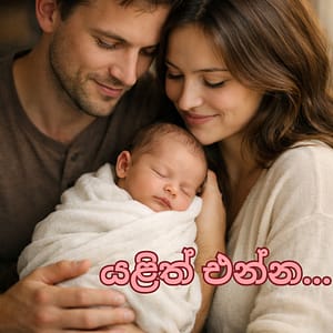 sinhala novel